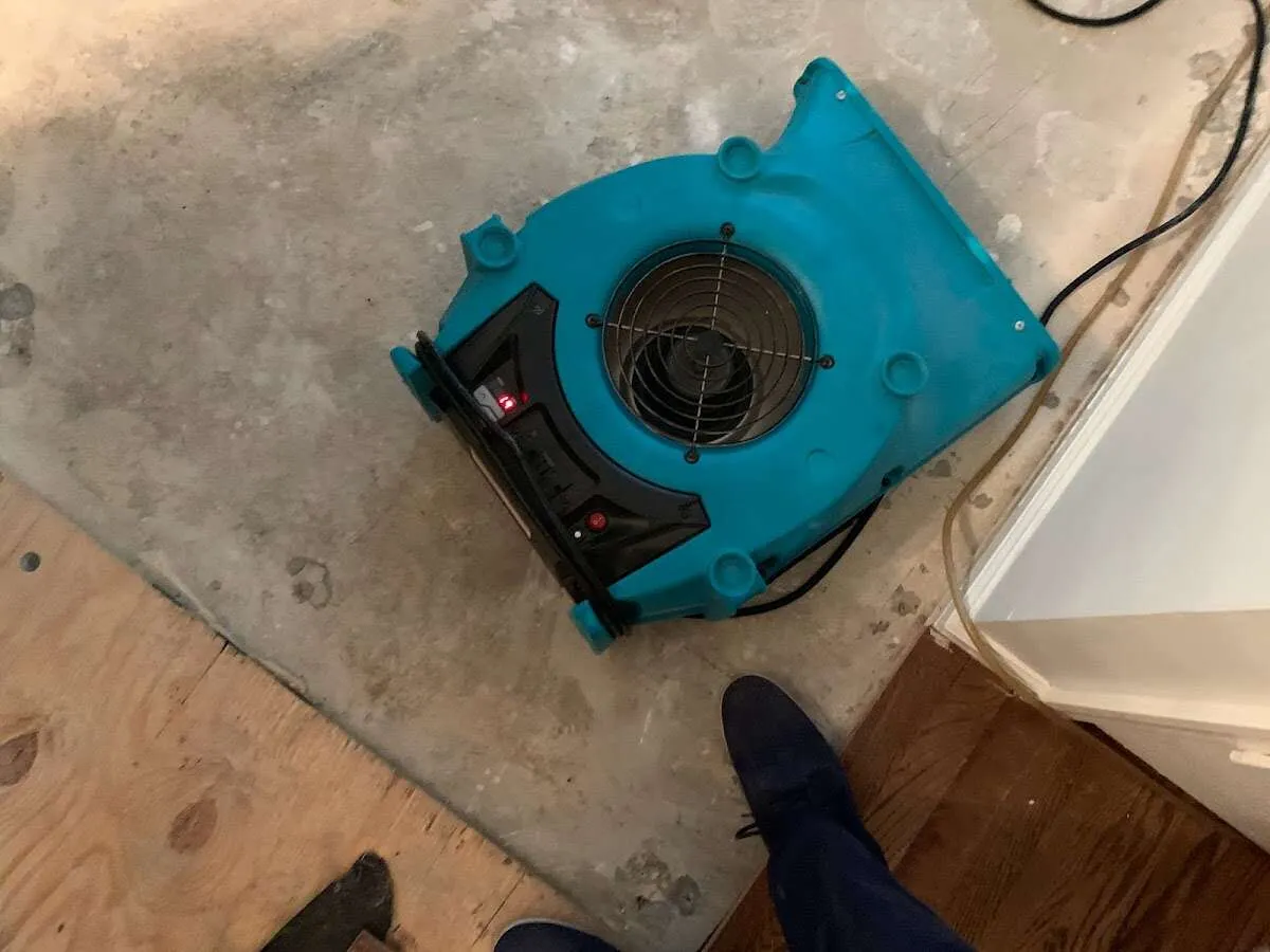 Air mover drying subfloor during Commercial Water Damage Restoration in Milo
